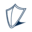 Aptus Capital Advisors, LLC