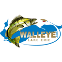 Walleye Capital LLC