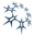 Polar Capital Holdings Plc