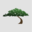 PineStone Asset Management Inc.